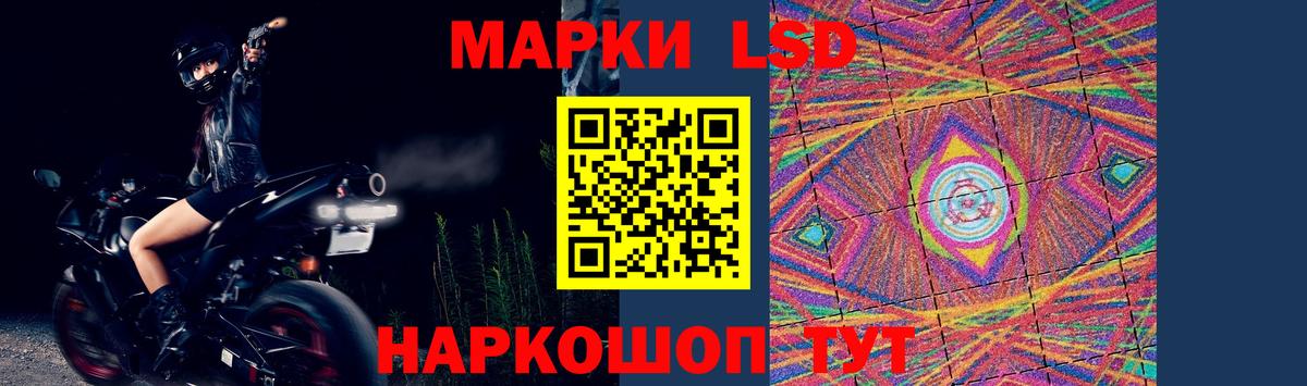 A PVP Йошкар-Ола